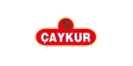 ÇAYKUR