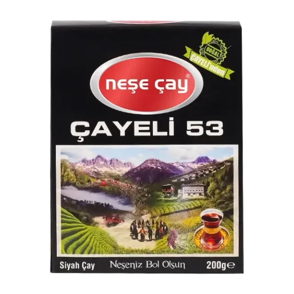 Çayeli 53 Kutu